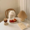 Gatinhos que curam a depressão 8