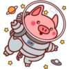 Pig 03 11