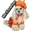 Cachorros tiernos 15