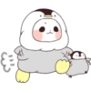 PANDITA 10
