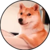 Perrito 9