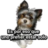 Cachorros tiernos 16