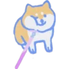 Perrito cute 6