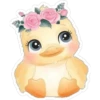 Animalitos Cute ️ 5