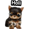Cachorros tiernos 17