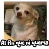 Riririririiiiiimicccs 9