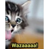 Wazaaaaa!