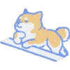 Perrito cute 8