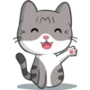 Meow the Tabby Cat 8