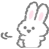 Bunny Bunny 16