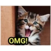 OMG!