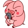 Pig 02 9