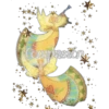 Compasion