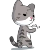 Meow the Tabby Cat 9
