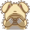 Perritos Bonitos 10