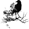 Dark Halloween 17