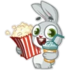 Bunyboo 13