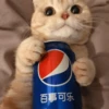 百事可乐