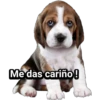 Cachorros tiernos 20