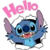 Stitch 12