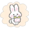 Bunny Bunny 18