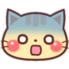 Gatito Kawaii🇧🇷❤️🌸 6