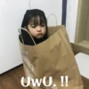 Koreanita 1 12