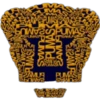 Pumas Cloud