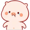 CERDITO bonito 11
