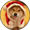 Perrito 16