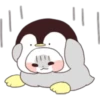 PANDITA 19