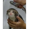 asdsfgh 5