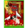 Corazón enamorado 16