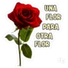 UNA FLOR PARA OTRA FLOR