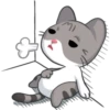 Meow the Tabby Cat 14