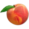 Food - Fruits 13
