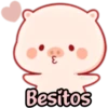 CERDITO bonito 17