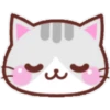 Gatito Kawaii🇧🇷❤️🌸 7