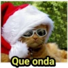 Que onda