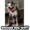 Riririririiiiiimicccs 17