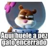 Aquí huele a pez
gato encerrado