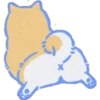 Perrito cute 13