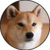www
JONE