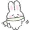 Bunny Bunny 24