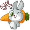 Bunyboo 19