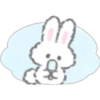 Bunny Bunny 25