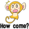 TINY MONKEYS 17