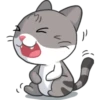 Meow the Tabby Cat 16