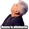 Variados 17