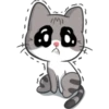 Meow the Tabby Cat 17